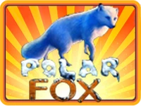 Polar Fox
