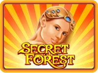 Secret Forest