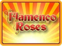 Flamenco Roses